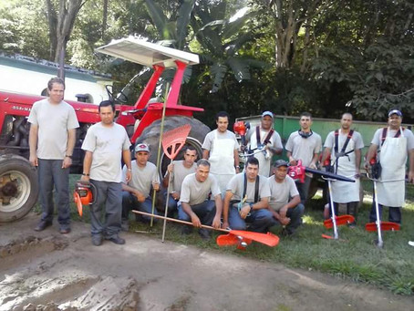 JARDINAGEM é uma especialidade da EMPLANTA