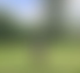 Travel Diary - Trip to Nainital!