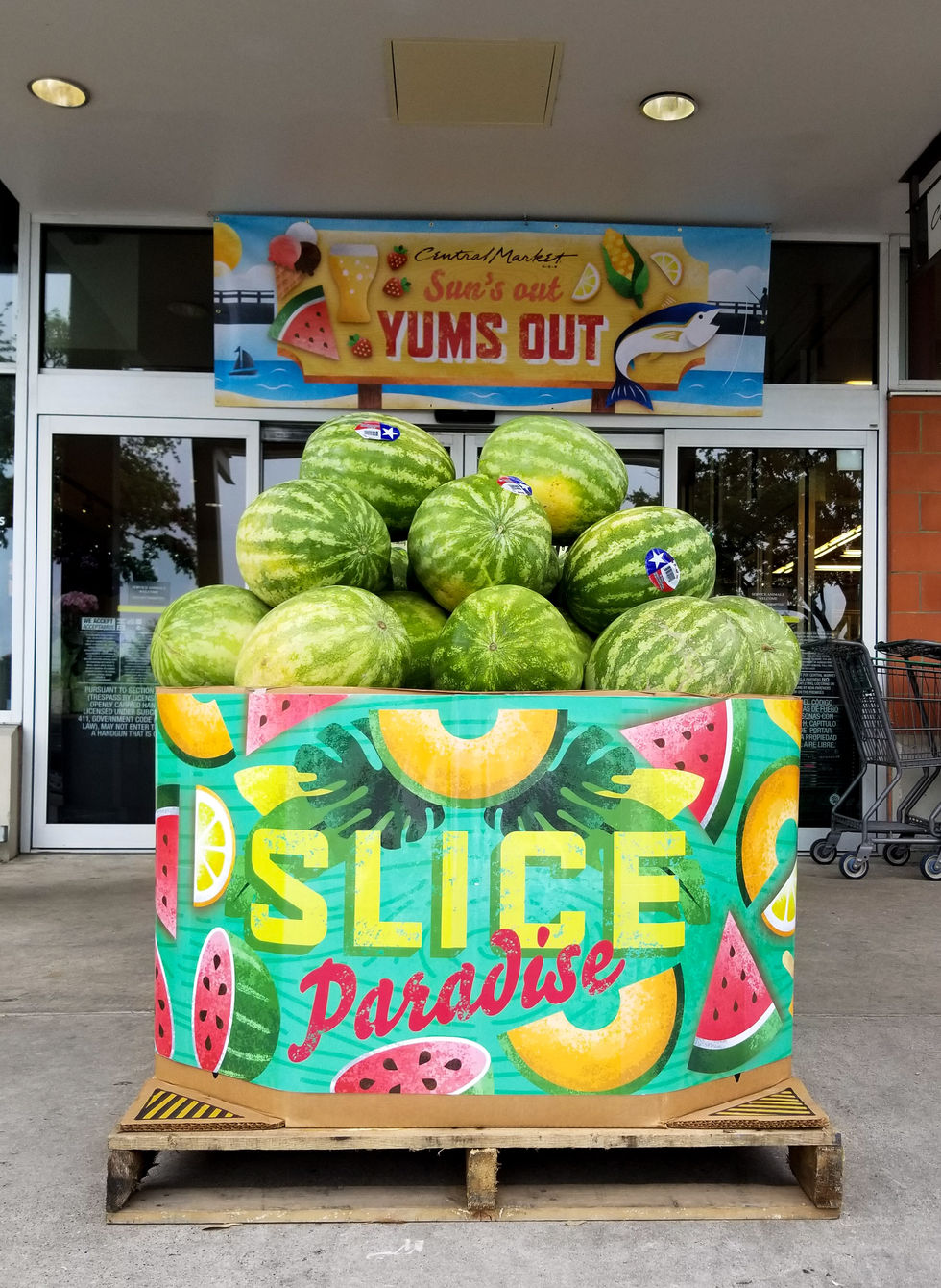 Summer at CM 2019-4.jpg