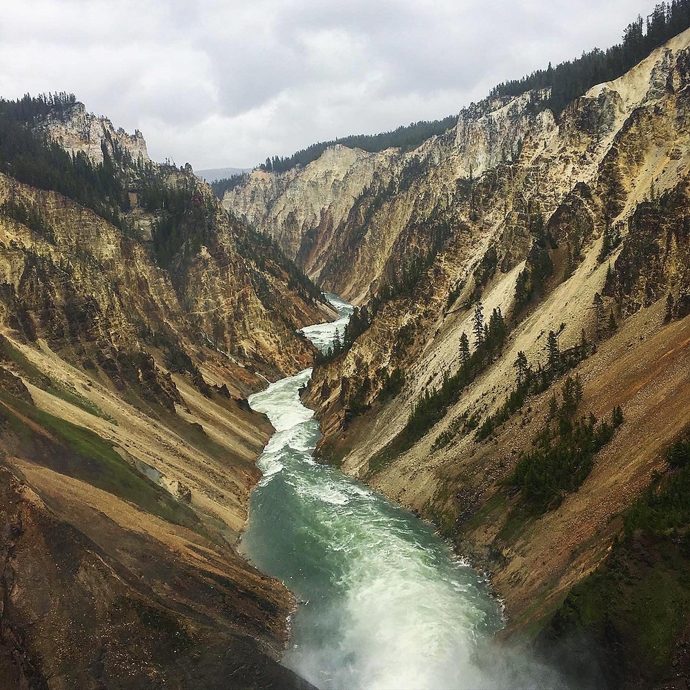 Yellowstone River in Yellowstone National Park