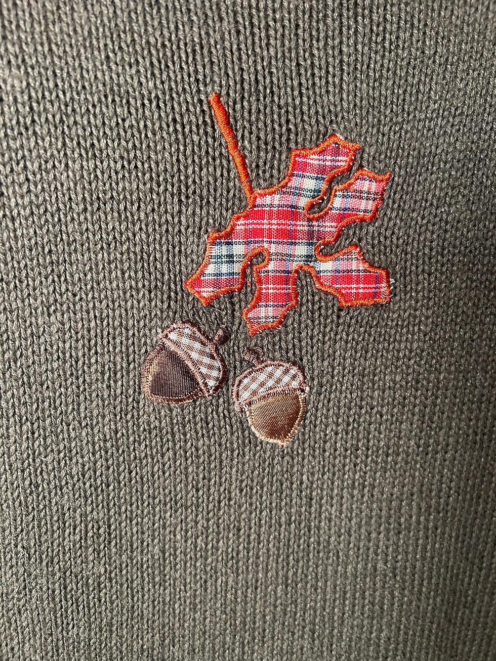 Thumbnail: Vintage Embroidered Fall Sweater Vest