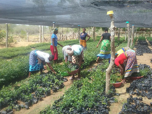 WhatsApp Image 2021-12-06 at 08.07.44.jpeg