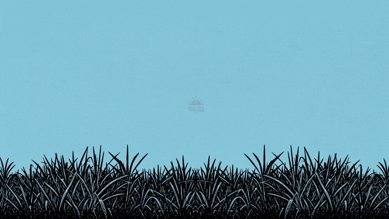 WBYF Main Header Logo sm v2.gif