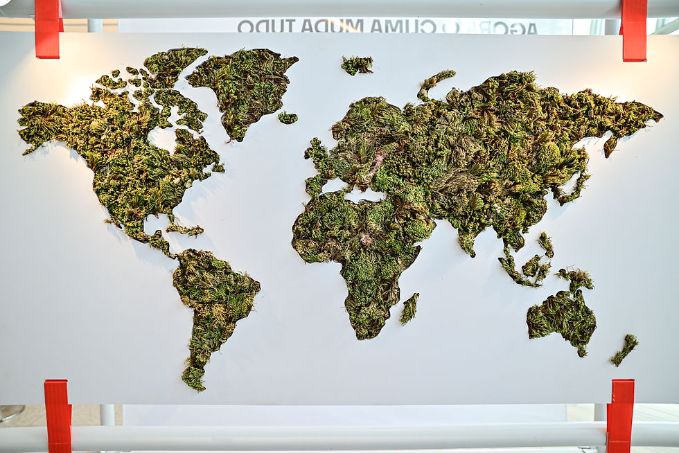 Mudamos o Clima, Agora o Clima Muda Tudo