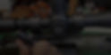 Ray Using Borka Tool _edited.jpg