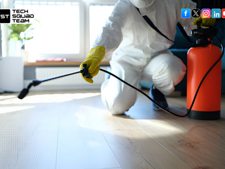 Professional Pest Control Services in Kolkata – TechSquadTeam