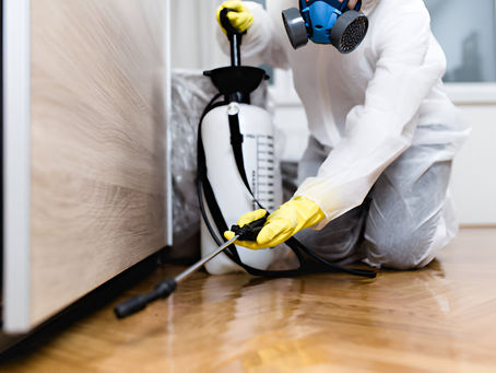 Say Goodbye to Pests with Professional Pest Control Services in Kolkata