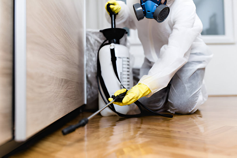 Say Goodbye to Pests with Professional Pest Control Services in Kolkata