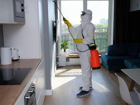 Professional Termite Control Services in Chennai - TechSquadTeam
