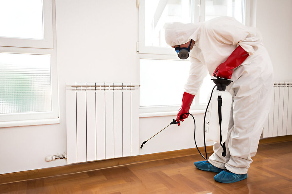 Hire Professional Pest Control Services in Hyderabad