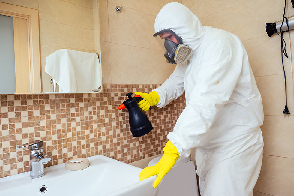 Termite Treatment in Delhi