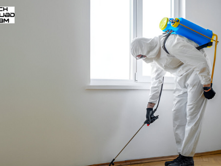 Best Pest Control Services in Hyderabad for Homes, Offices & Apartments