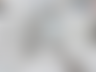 Sparkling Bathrooms, Healthy Homes – Bathroom Cleaning Services