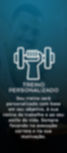 Consultoria Fitness Online treino personaliado