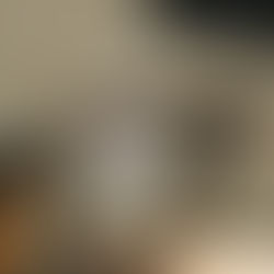 New Arrival TVR®504 2026 Sterling Silver Collection