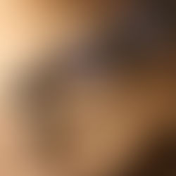 TVR® Thailand Exclusive Launch - TVR® 504 Classic JD