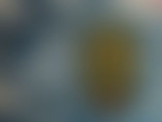 “Turtle Motif” Iconic Pattern Engraving of KameManNen