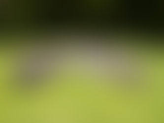 Coca-Cola Ecuador, "Juntos" plataforma de acción reunirá todos los proyectos de América Latina