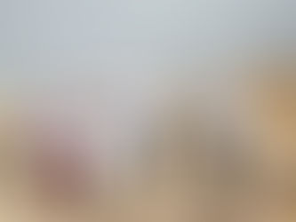 Conservación Internacional Programa Limpieza Costera aporta al Desarrollo Sostenible de Galápagos