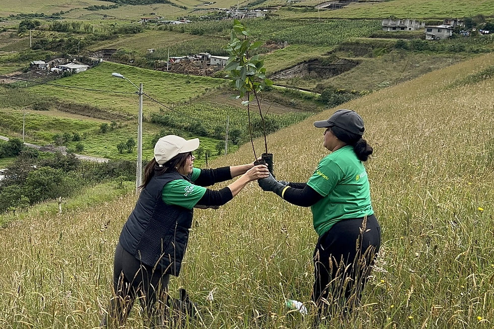 Voluntarios del GRUPO DIFARE se movilizan por el cuidado ambiental