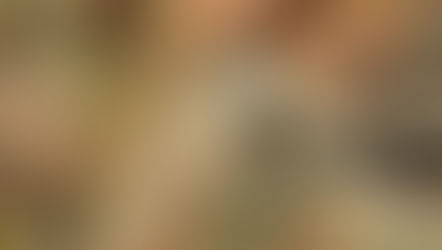 UTPL: Proyecto liderado por un estudiante de la UTPL protege a la vizcacha ecuatoriana de los incendios