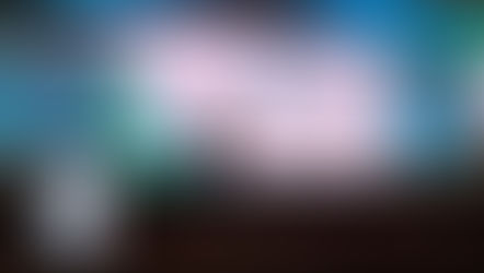 Foro de Inclusión financiera de RFD tuvo la participación de CERES como ponente