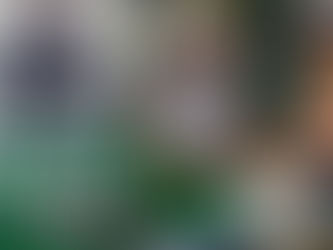 Difare: 38 años llegando con salud y bienestar