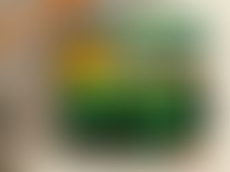 CERES lanzó MIRADAS, una publicación que inspira la acción climática empresarial en Ecuador