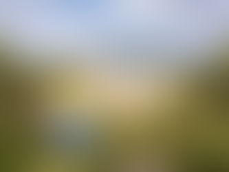 UNACEM: El suelo y su cuidado garantiza la vida en el Planeta