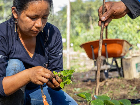 THE NATURE CONSEVANCY: El vivero y jardín comunitarios que fortalecen la conservación y la resiliencia desde el conocimiento local