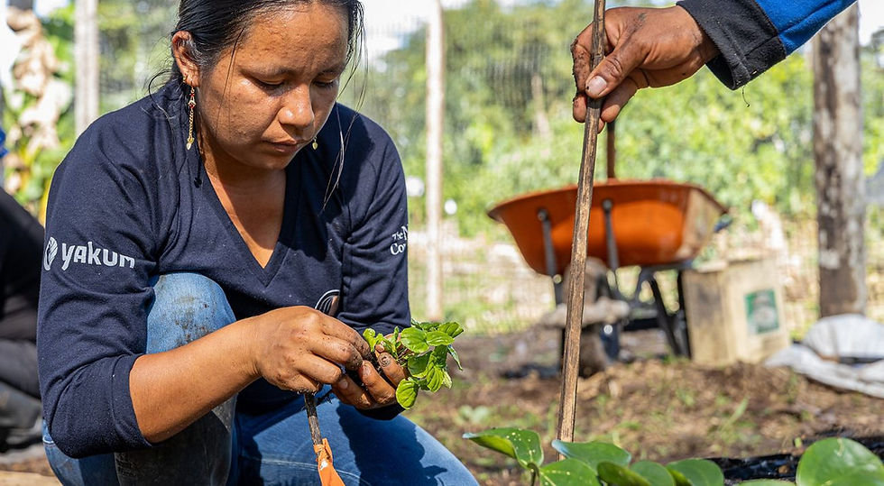 THE NATURE CONSEVANCY: El vivero y jardín comunitarios que fortalecen la conservación y la resiliencia desde el conocimiento local