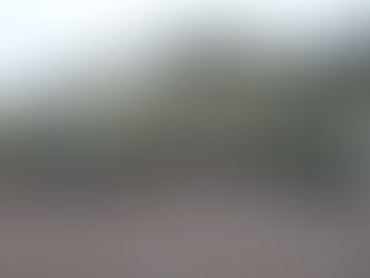 PRODUBANCO: Colaboradores recolectaron 2.5 toneladas de basura y trabajaron en jornadas de reforestación y limpieza en cinco ciudades del país