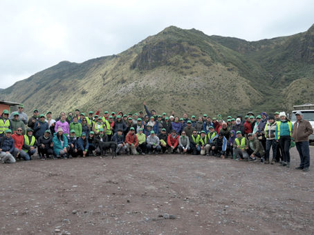 PRODUBANCO: Colaboradores recolectaron 2.5 toneladas de basura y trabajaron en jornadas de reforestación y limpieza en cinco ciudades del país