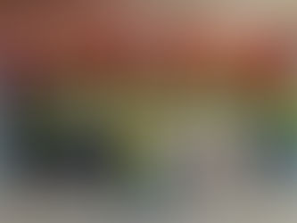 ALPINA en alianza con FUDELA: Proyecto “Sembrando Bienestar” de Alpina Ecuador fortalece el desarrollo comunitario de más de 170 personas en Carchi