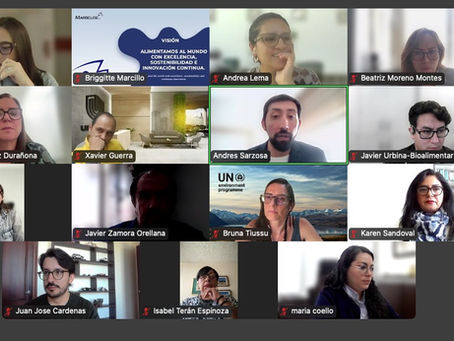 Webinar CERES "Cómo no caer en el Greenwashing: comunicación de una sostenibilidad auténtica"