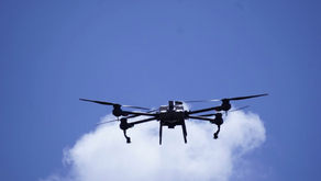 DINERS CLUB lidera reforestación en Guápulo con 10 000 semillas y tecnología de vanguardía