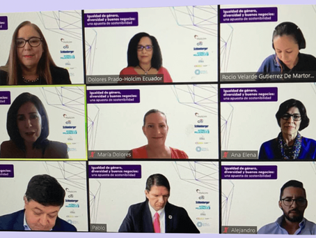 Webinar sobre Igualdad de género, contó con apoyo y participación de CERES