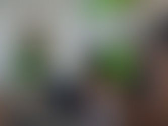 ECOGAL: Volamos por la igualdad aterriza en Puerto Ayora y fortalece la lucha contra la violencia de género