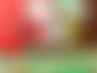 Nestlé Purina® y Unidad Canina de la Cruz Roja de Guayas unen esfuerzos para el bienestar canino