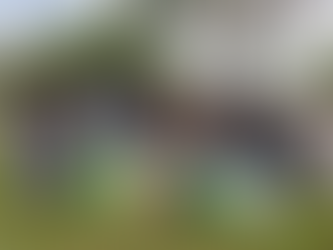 Grupo AJE fortalece su impacto ambiental en Ecuador junto a Galápagos Guardians