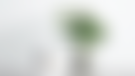 CERES cumple su mayoría de edad: 18 años trabajando para hacer realidad un Ecuador Sostenible