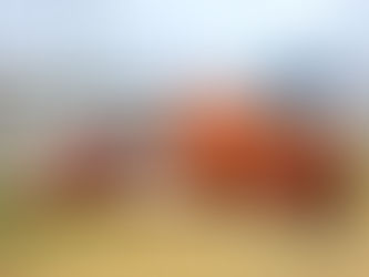 SEGUROS ALIANZA participó en la reforestación de Patate, con la siembra de 200 árboles