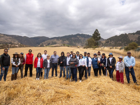 Moderna Alimentos fomenta producción de trigo nacional a través de compra de más de 1.400 toneladas