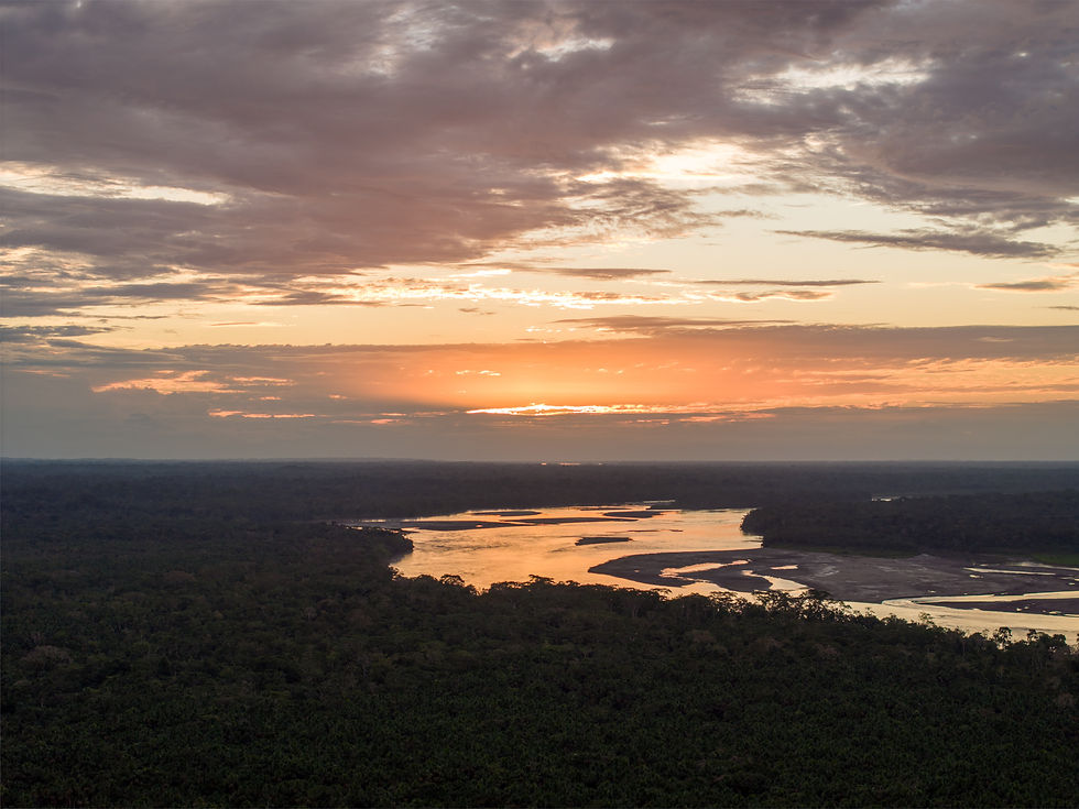 CONSERVACIÓN INTERNACIONAL: Ecuador anuncia el reconocimiento de nuevo corredor en la Amazonía, Yasuní-Limoncocha-Cuyabeno