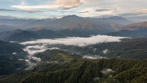 Organizaciones y comunidades piden detener proyecto de carretera que amenaza el Parque Nacional Llanganates