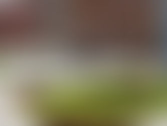 UTPL promueve la excelencia sostenible en Ecuador