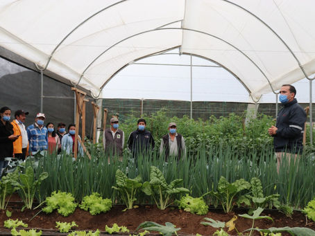 SolGold y aliados públicos, inauguran vivero agroforestal para fortalecer la educación ambiental
