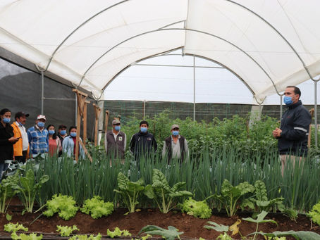 SolGold y aliados públicos, inauguran vivero agroforestal para fortalecer la educación ambiental 