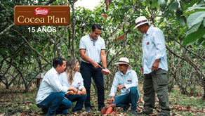 NESTLÉ lanza su campaña "Sembramos Futuro", un compromiso con el sector cacaotero y con el desarrollo del agro en el país a través del PLAN CACAO