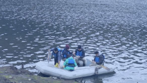 Cátedra UNESCO- Manejo de aguas dulces tropicales / IKIAM